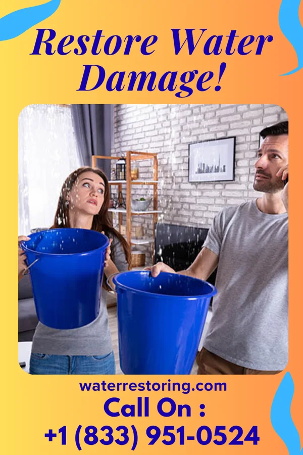 water restoration Vanguard Sewage Cleanup LLC Princeville